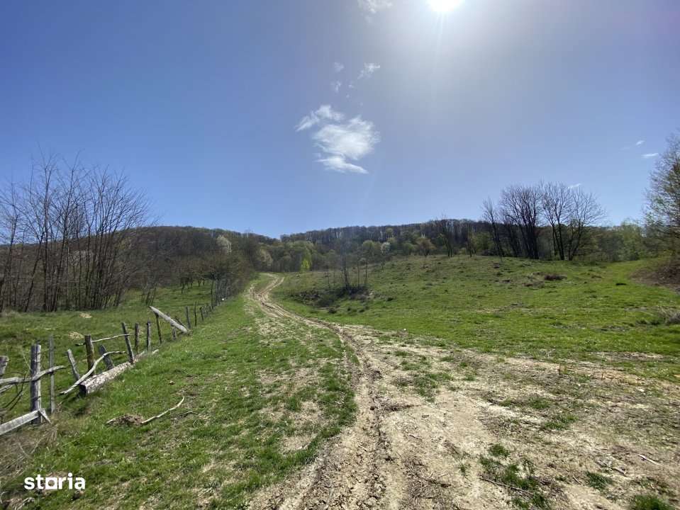 Teren 13.000 mp zona de deal - Aninoasa AG - Imagine principală: 4/6