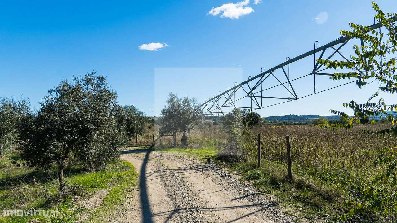 Project Green Valley-10