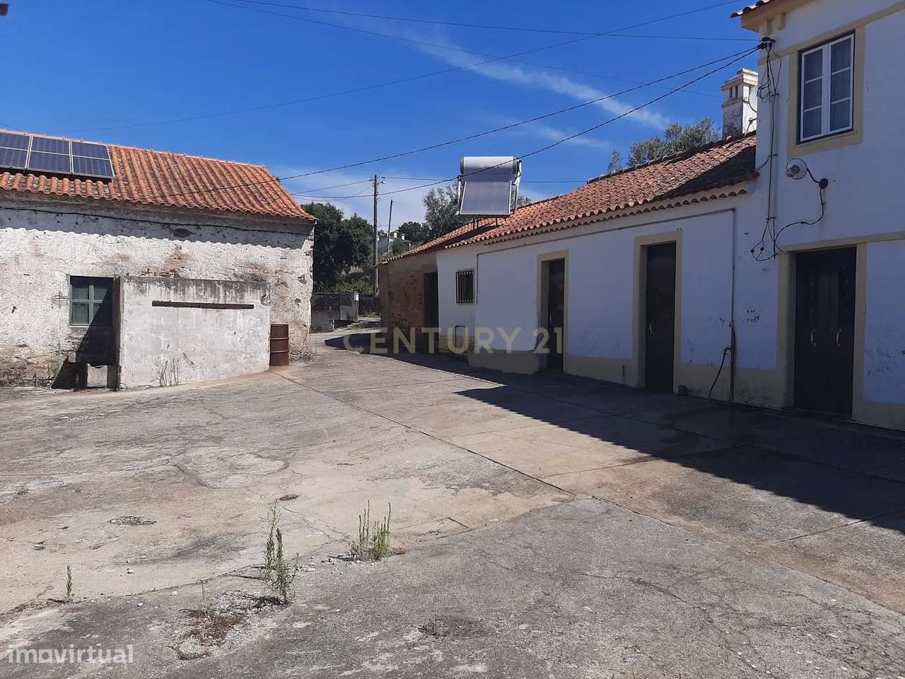 Quintinha com moradia e anexos, lote de terreno com 19.060m2, Mourisca - Grande imagem: 5/39