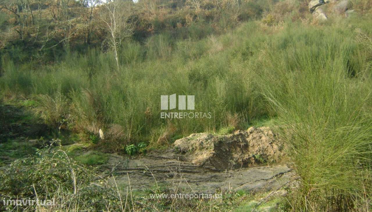 Venda Terreno, Soalhães, Marco de Canaveses - Grande imagem: 4/6