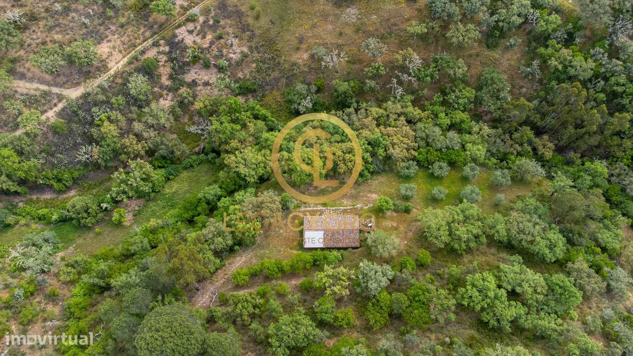 Quinta de 6 hectares perto de São Martinho das Amoreiras-11