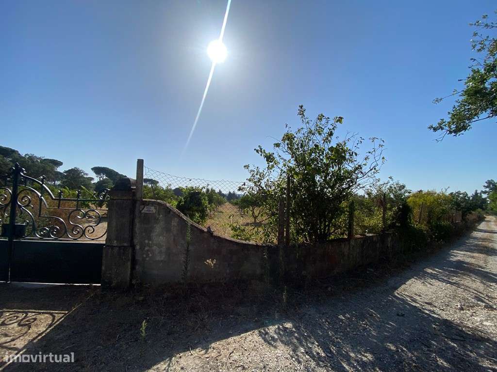 Terreno a venda com PIP aprovado para 8 Quintas, em condomínio em A... - Grande imagem: 4/12