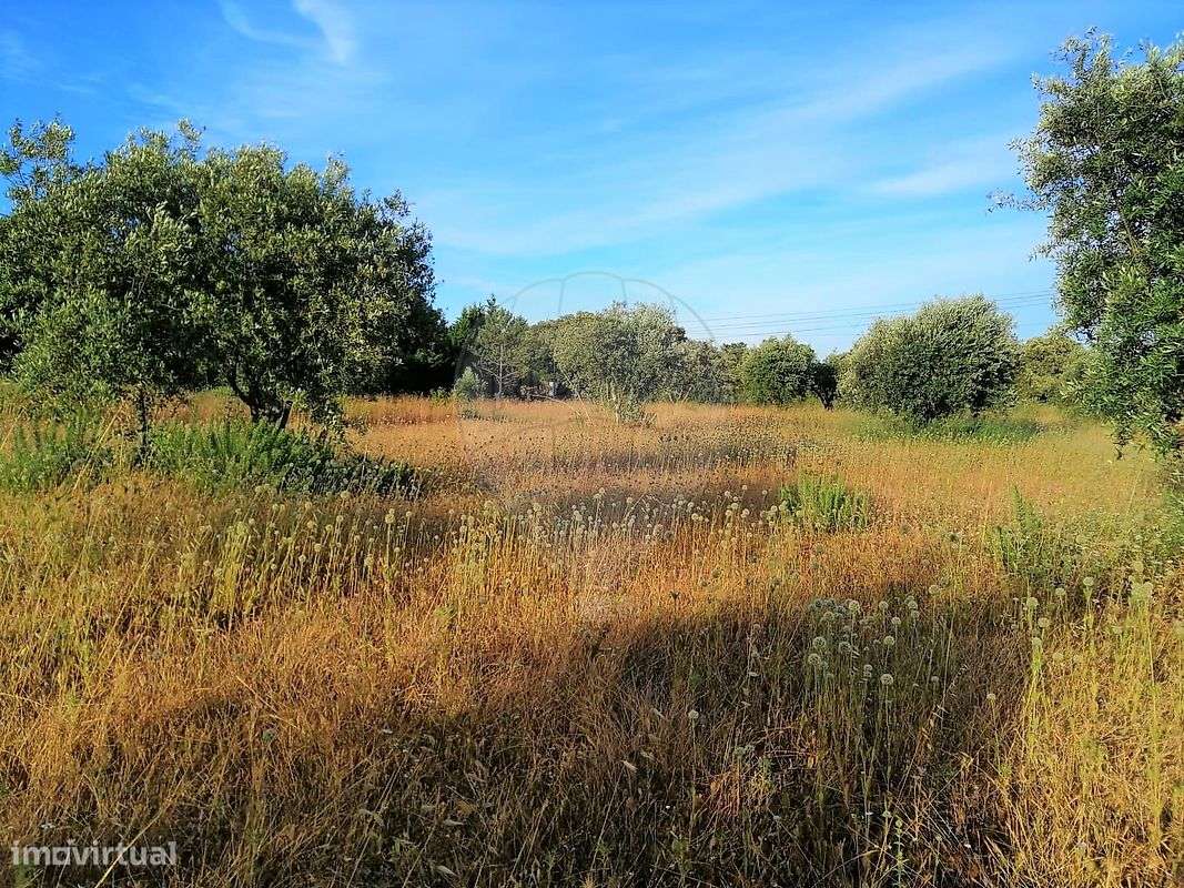 Terreno  para venda - Grande imagem: 3/6