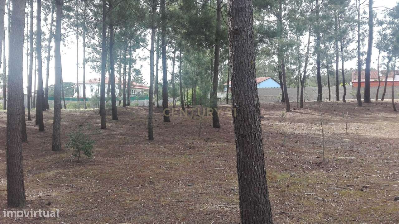 Terreno  para construção ideal para moradia unifamiliar - Grande imagem: 3/5