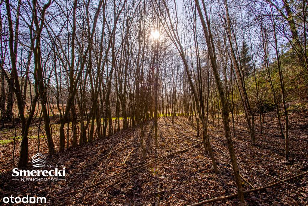 Dom w otulinie Parku Krajobrazowego-9