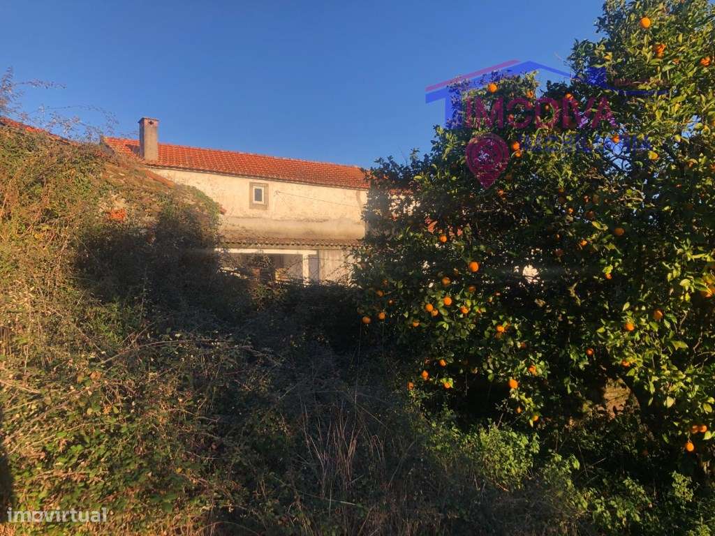 CASA SENHORIAL E TERRENO, CASTANHEIRA DE PERA-40