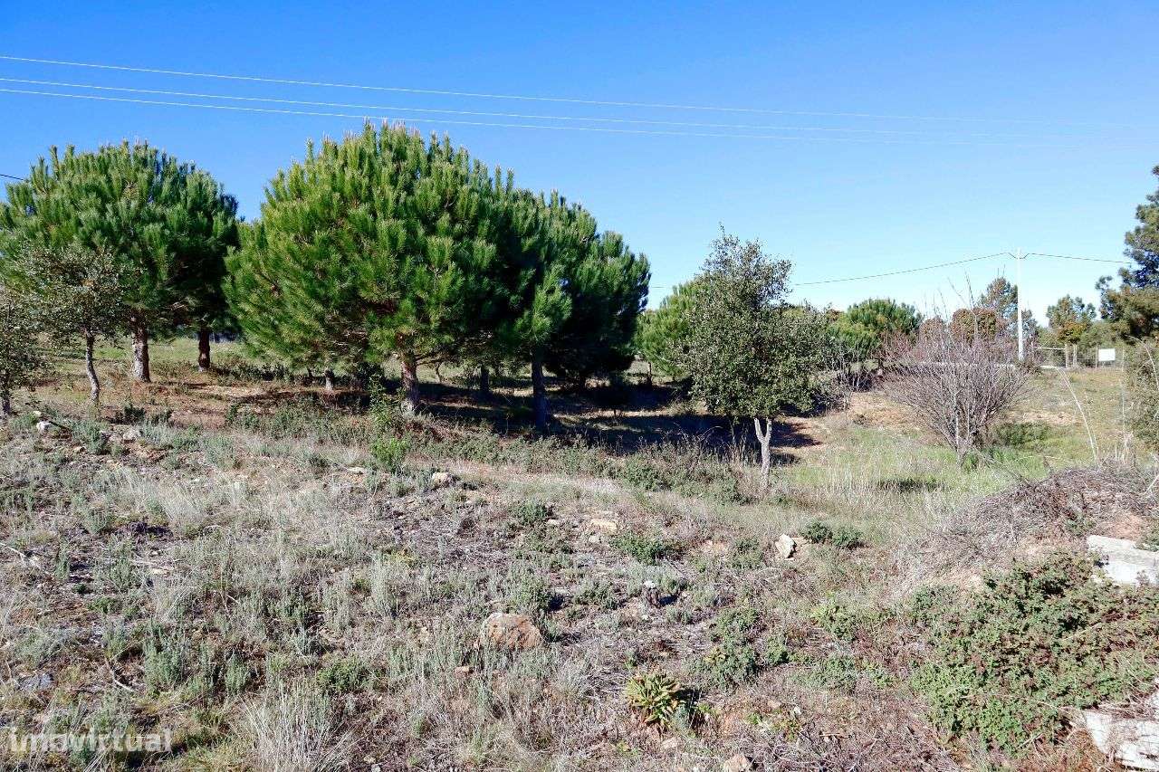 Terreno - Grande imagem: 4/11