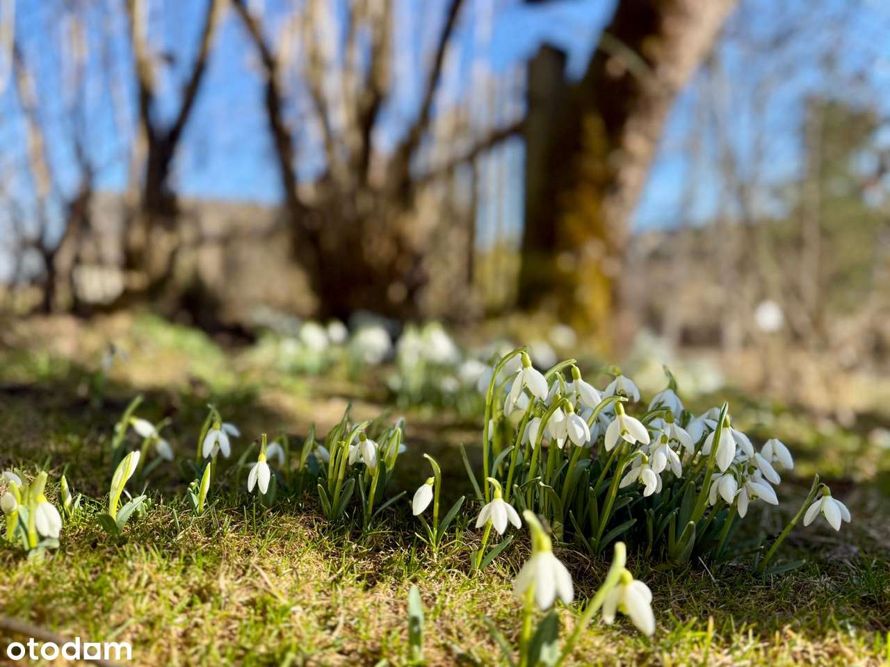 Klimatyczna chata z widokiem na Babią Górę, Jordanów-17