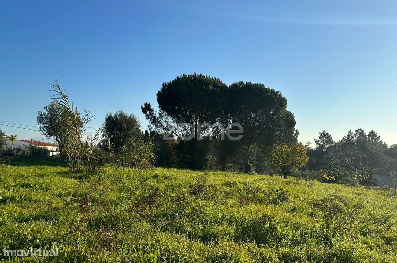 Terreno Urbano em Aguim com 2650m2 - Grande imagem: 3/20