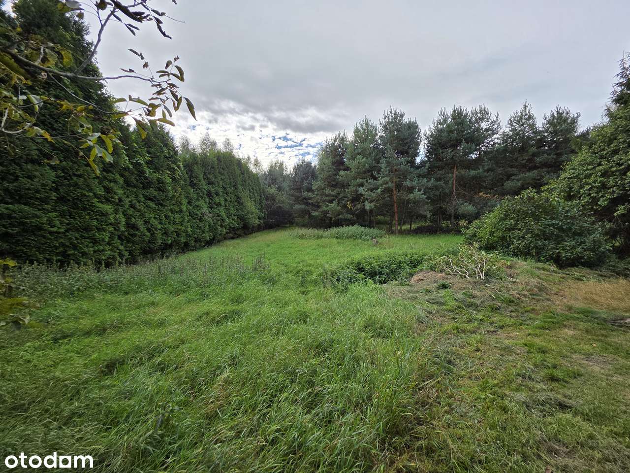 Wolnostojący murowany dom/ działka 66arowa/ płaski teren widok na las-15