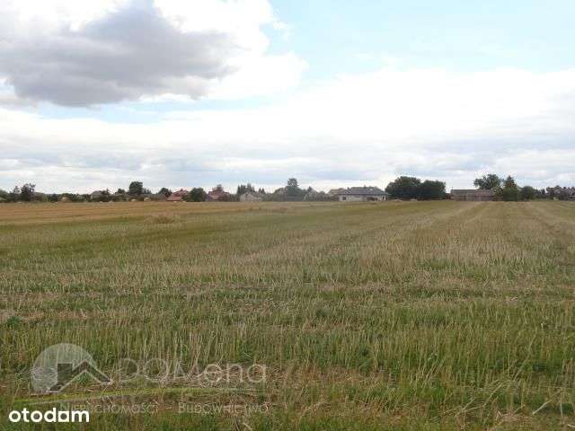 Działka, 1 300 m², Pniówek-8