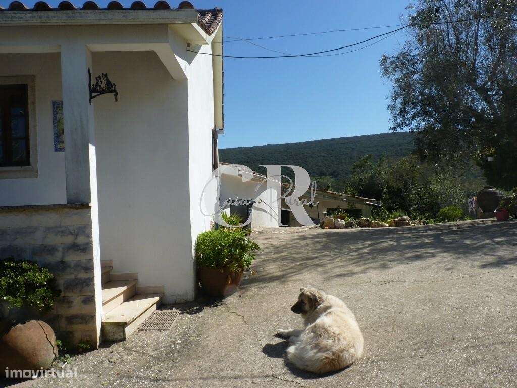 Moradia T4 com garagem, anexos e vistas deslumbrantes em Almoster – Al - Grande imagem: 4/60