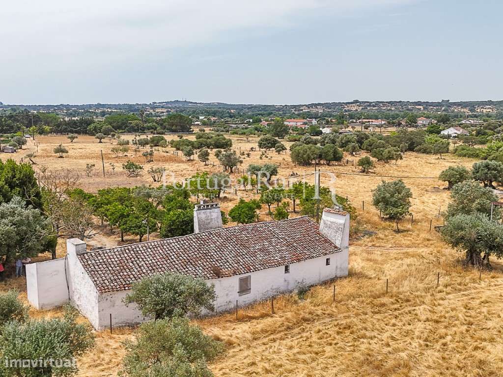 Encantadora quintinha alentejana - Grande imagem: 2/21