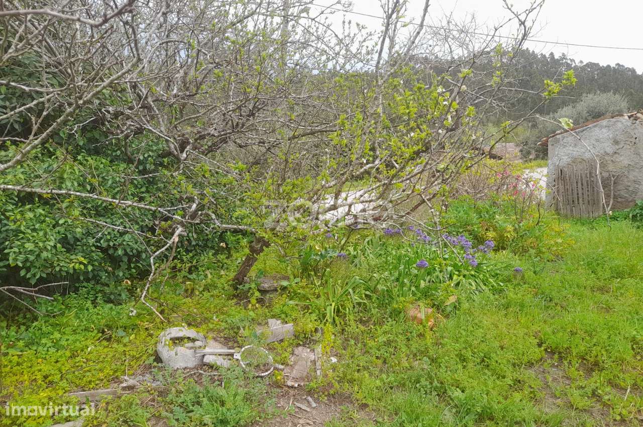 terreno Rustico - Grande imagem: 5/18