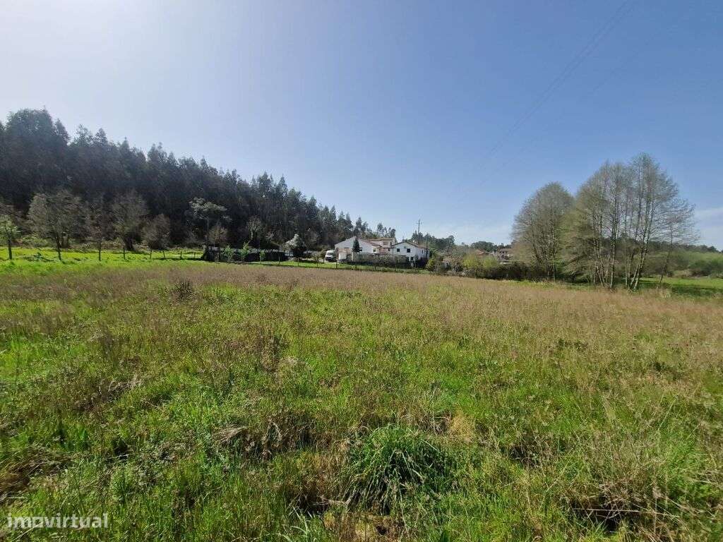 Terreno construção Moradia S. João Boavista - Grande imagem: 4/9