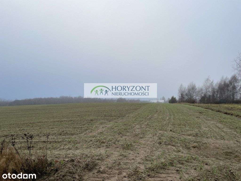 Dobrzewino - działki budowlane-2