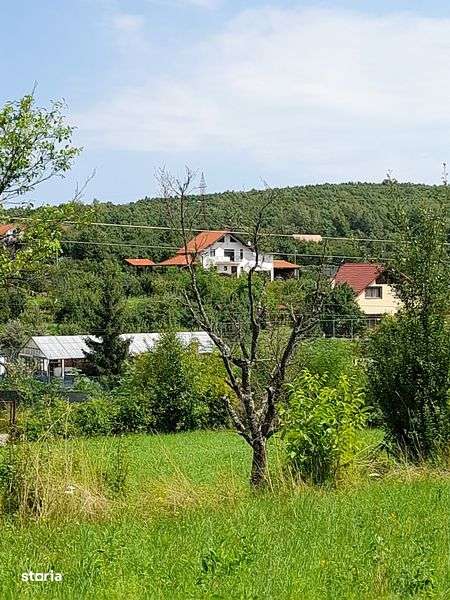 Teren intravilan - Imagine principală: 5/8