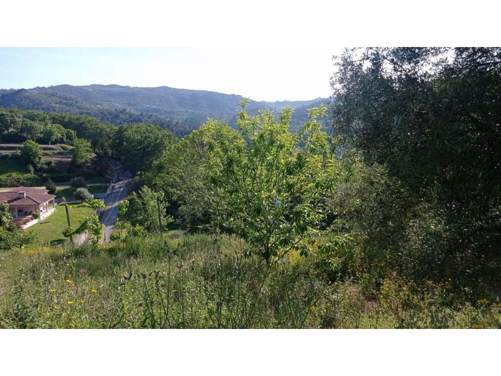 terreno - Grande imagem: 4/4