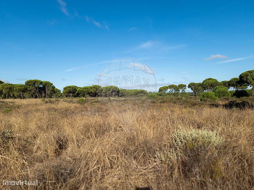 Terreno  para venda - Grande imagem: 2/13