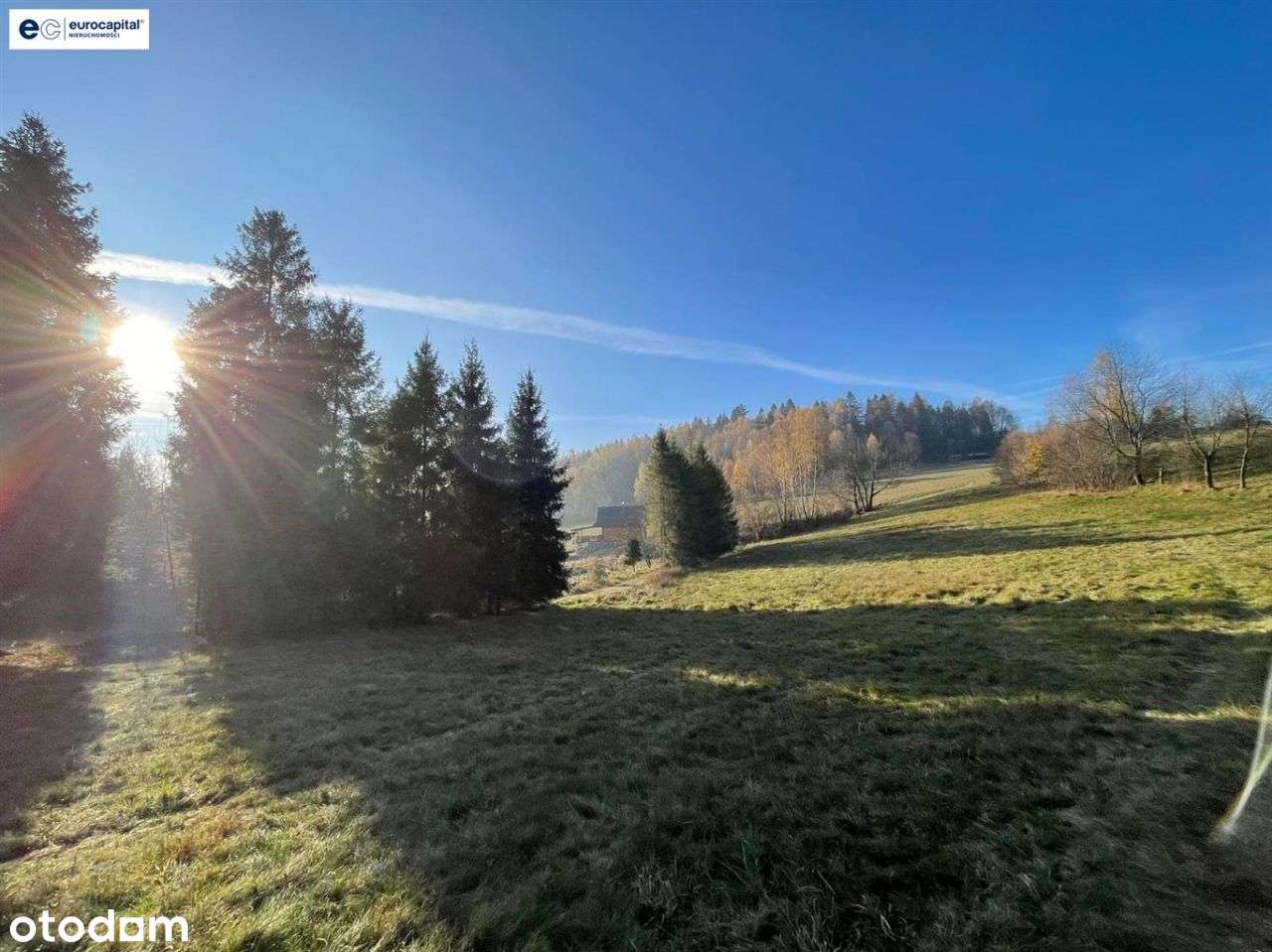 Widokowa, Otoczona Drzewami W Malowniczej Milówce! - Pełny obrazek: 4/20