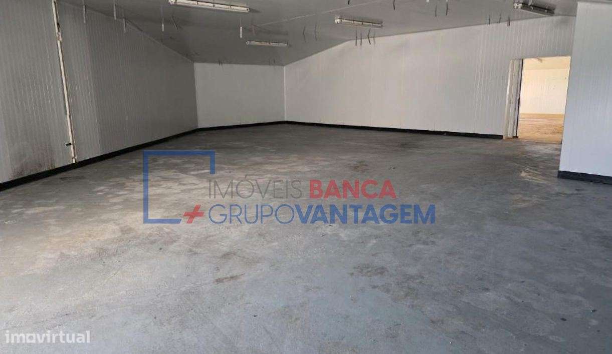 ARMAZEM INDUSTRIAL  - TRANCOSO - Grande imagem: 3/21