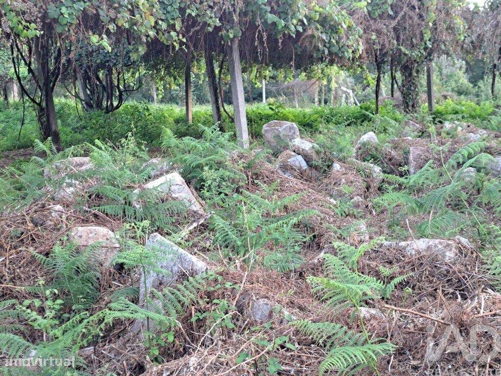 Terreno em Freiriz de 3900,00 m2 - Grande imagem: 3/18