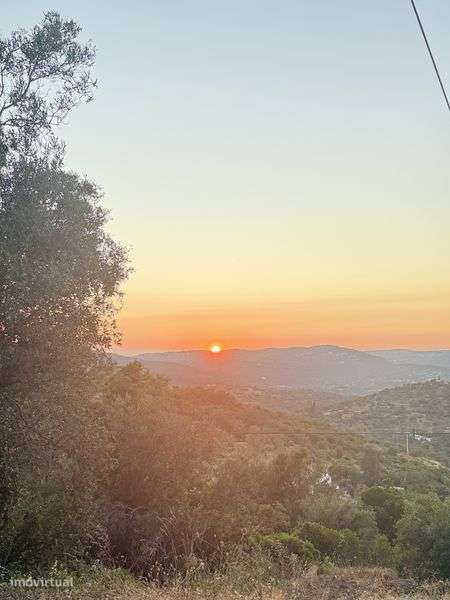 Vende-se Terreno Rustico com Pomar - Grande imagem: 4/12