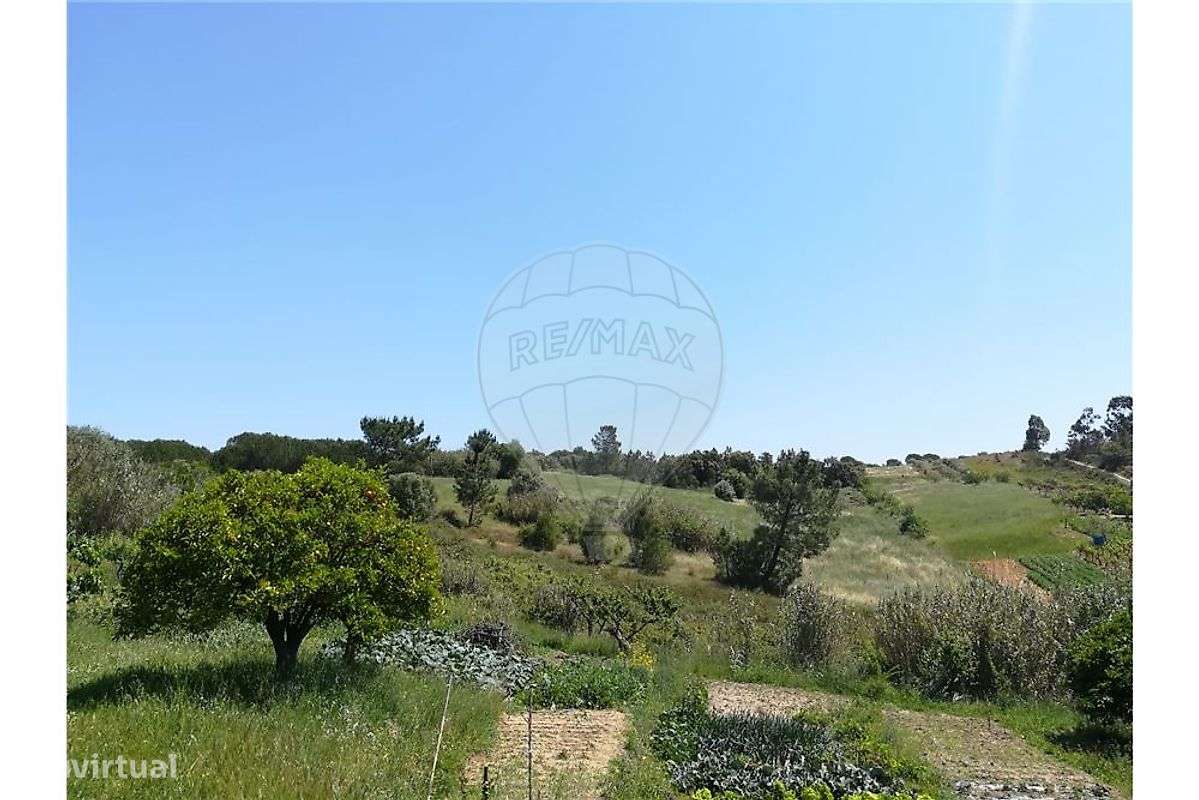 Terreno  para venda-5