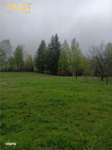 Teren cu casa l Dealu Negru l 15.000 MP l Central-0