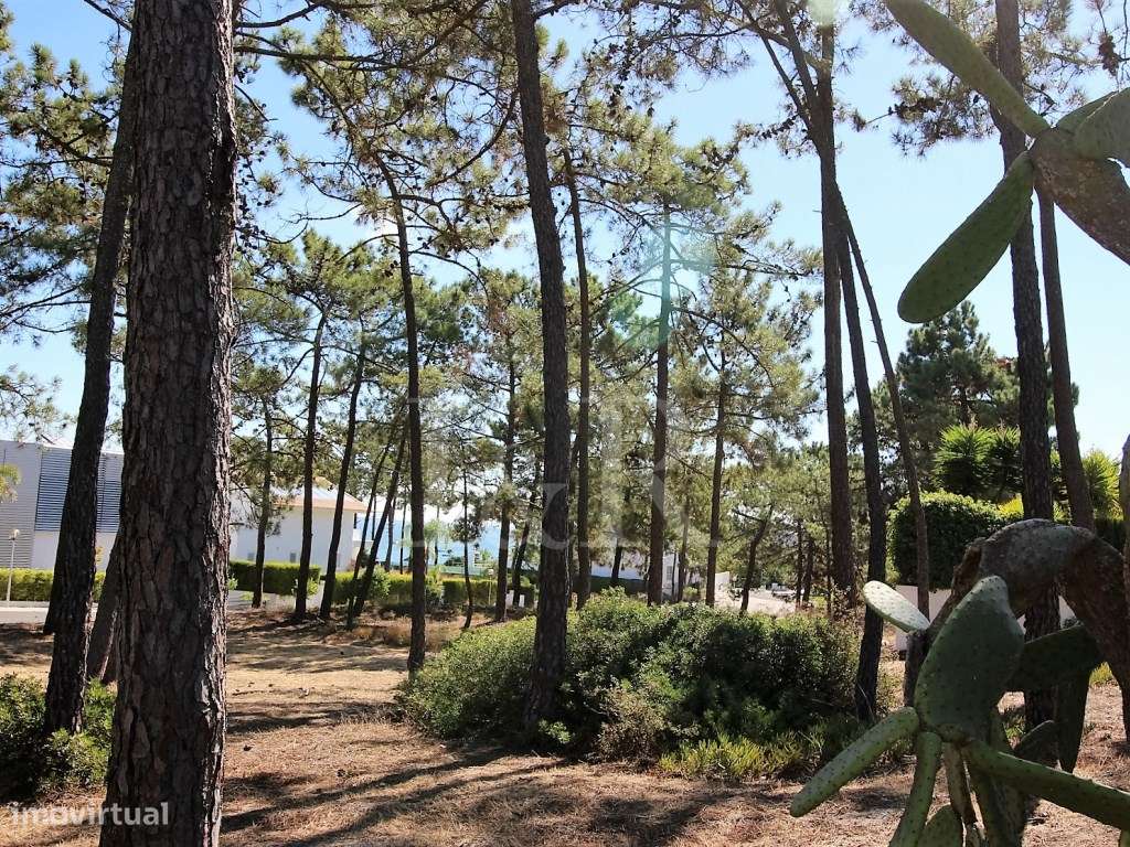 Lote para construção de moradia a 100 metros da praia em Troia - Grande imagem: 5/37