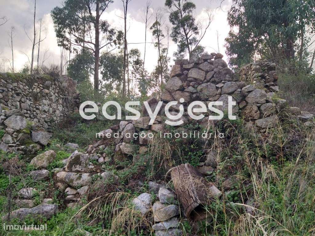 Terreno rústico com ruína com área total de 1360m2, Monchique - Grande imagem: 3/21