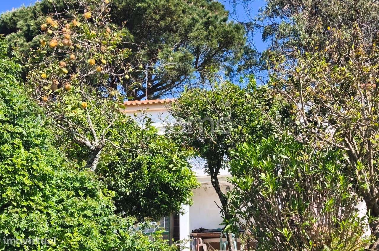 Propriedade única com 1.928 m² | Malveira da Serra-16