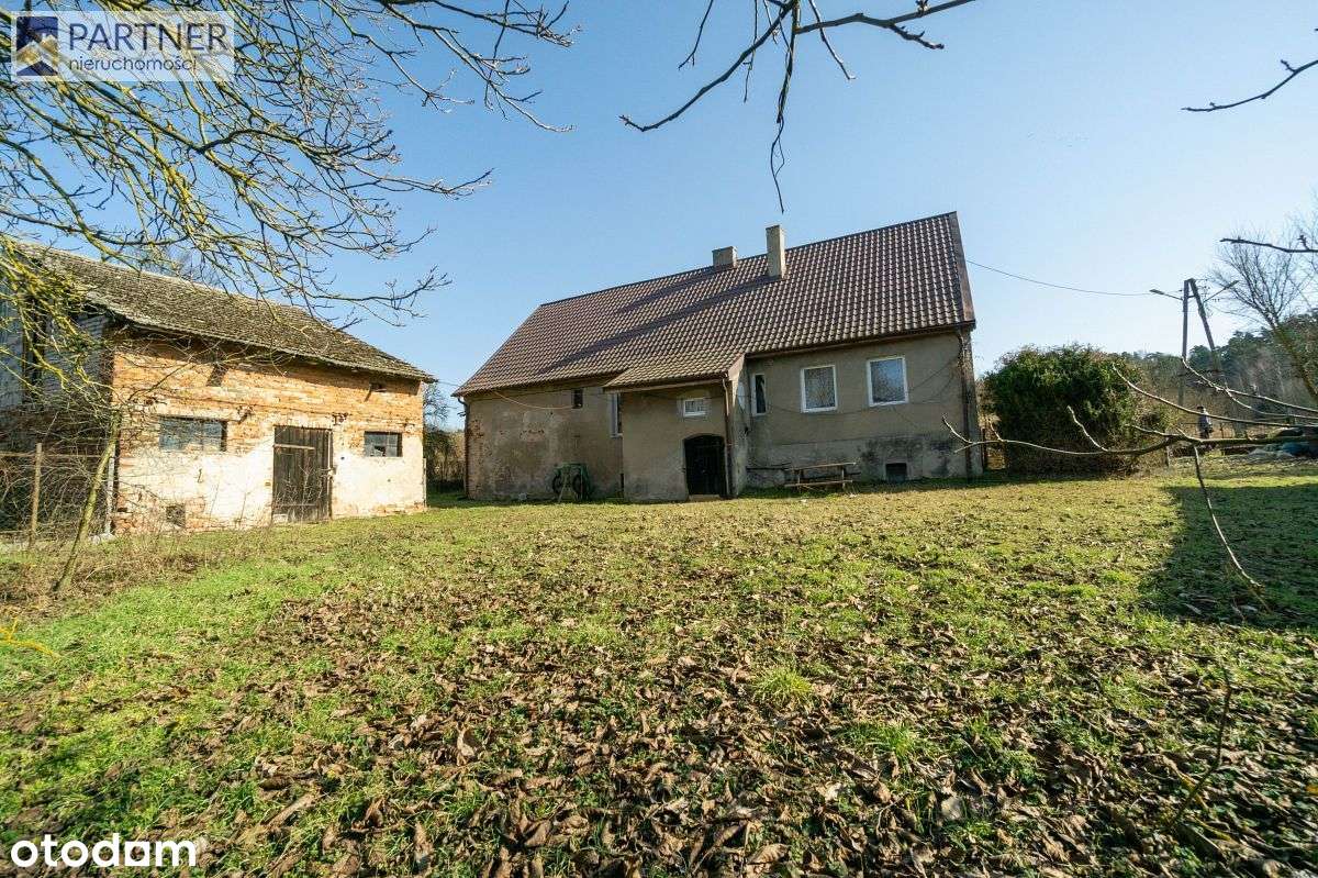 Dom z bezpośrednim dostępem do Odry!-1