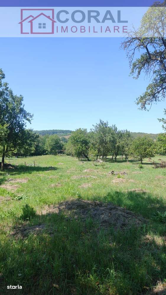 De vanzare teren intravilan Barsau - Imagine principală: 4/5