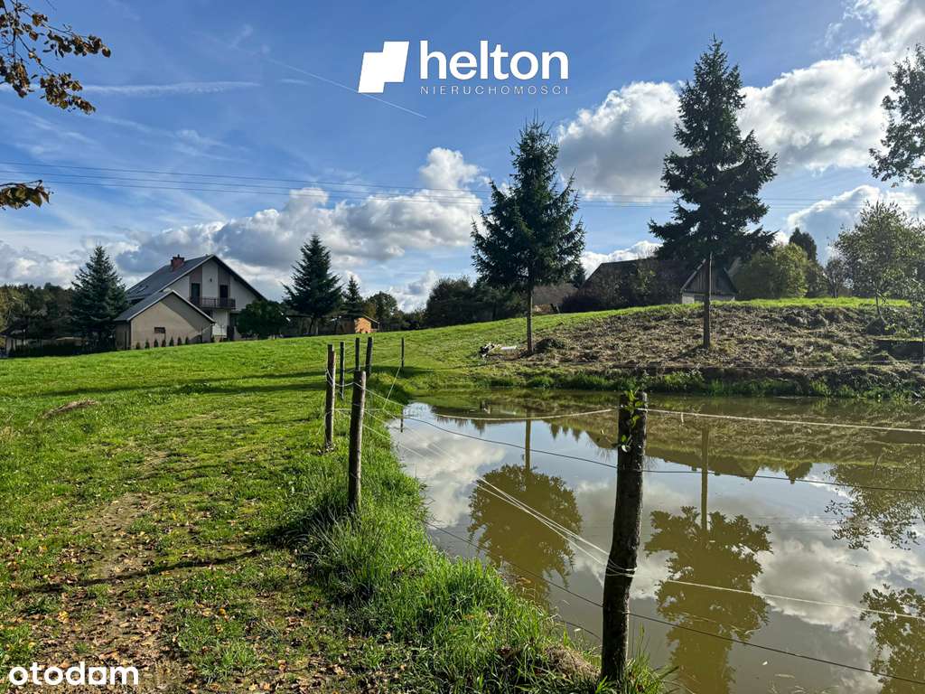 Wymarzona działka | otoczona lasem | prywatny staw - Pełny obrazek: 4/9