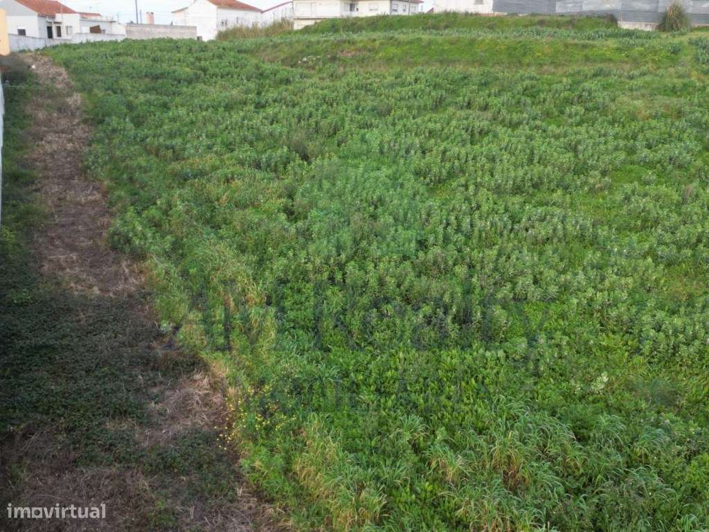TERRENO RÚSTICO| ATOUGUIA DA BALEIA - Grande imagem: 4/10