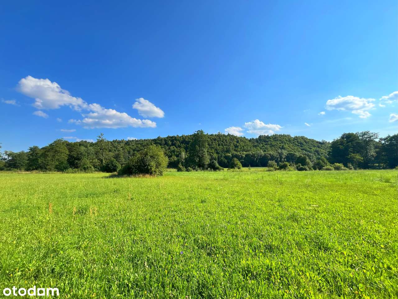 Melonek - działka w urokliwej okolicy nad rzeką - Pełny obrazek: 5/15