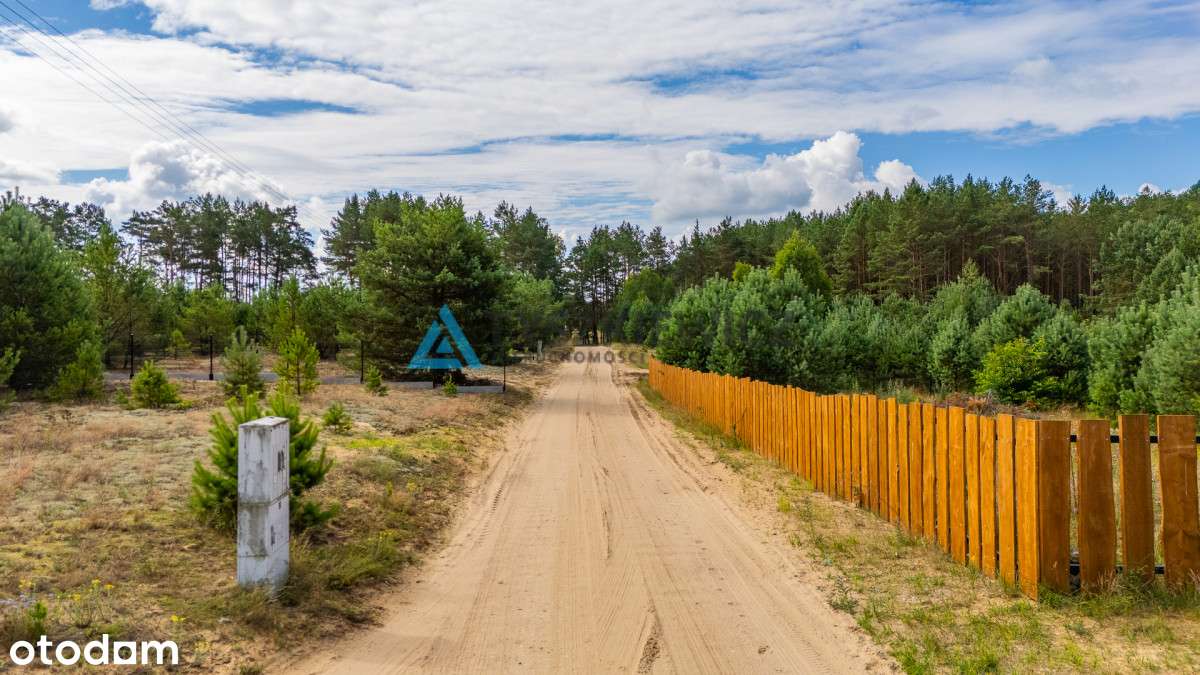 Działka W Zbrzycy - 3173 m² | Media W Drodze - Pełny obrazek: 5/12