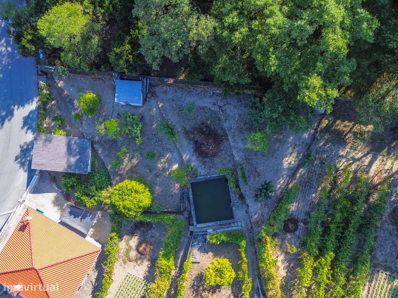 Terreno  Venda em Santa Cruz do Douro e São Tomé de Covelas,Baião - Grande imagem: 5/13