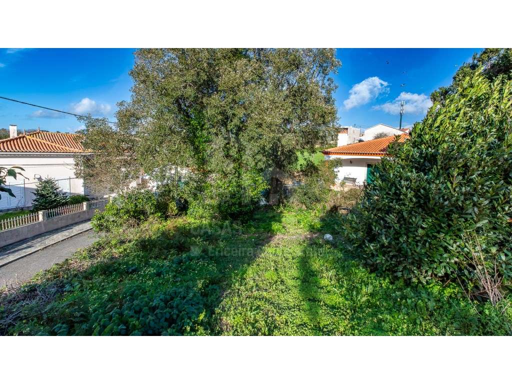 Vende Terreno - Ericeira 15 km, A Casa das Casas - Grande imagem: 4/6