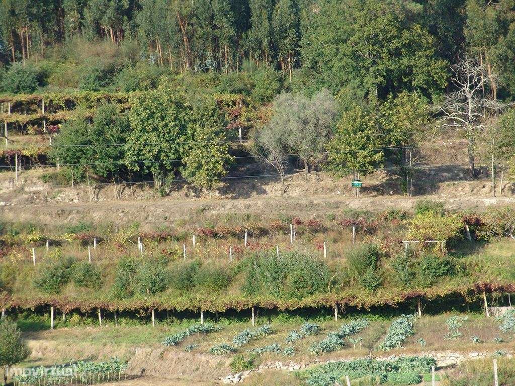 Terreno em Refóios do Lima- Ponte de Lima. - Grande imagem: 3/6
