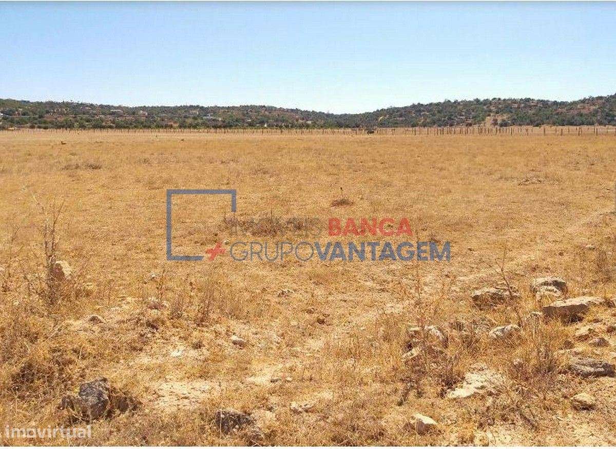 Terreno rústico com 8.980m² destinado a cultura arvense, situado em... - Grande imagem: 5/6