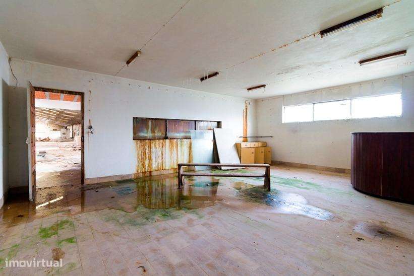 Prédio Industrial / Armazém – Maceirinha, Leiria - Grande imagem: 4/9