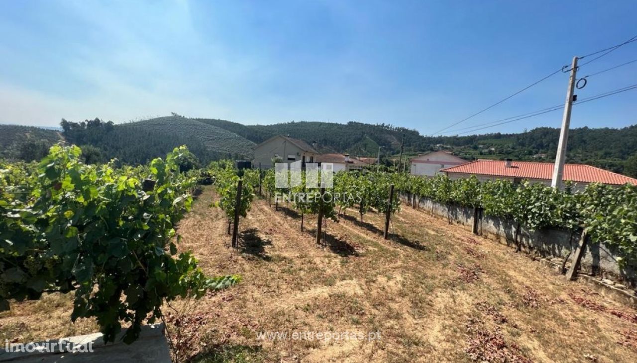 Venda Terreno com 1600m2 de área, Telões, Amarante