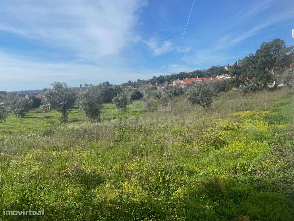 Moradia independente com 500 m2 área bruta-24