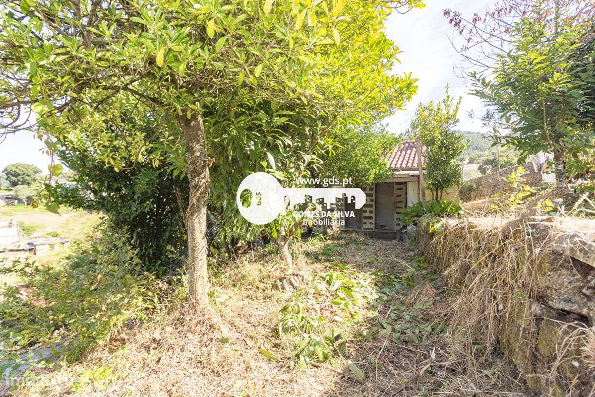 Moradia tri-familiar em ruína com afetação de comércio e habitação-15