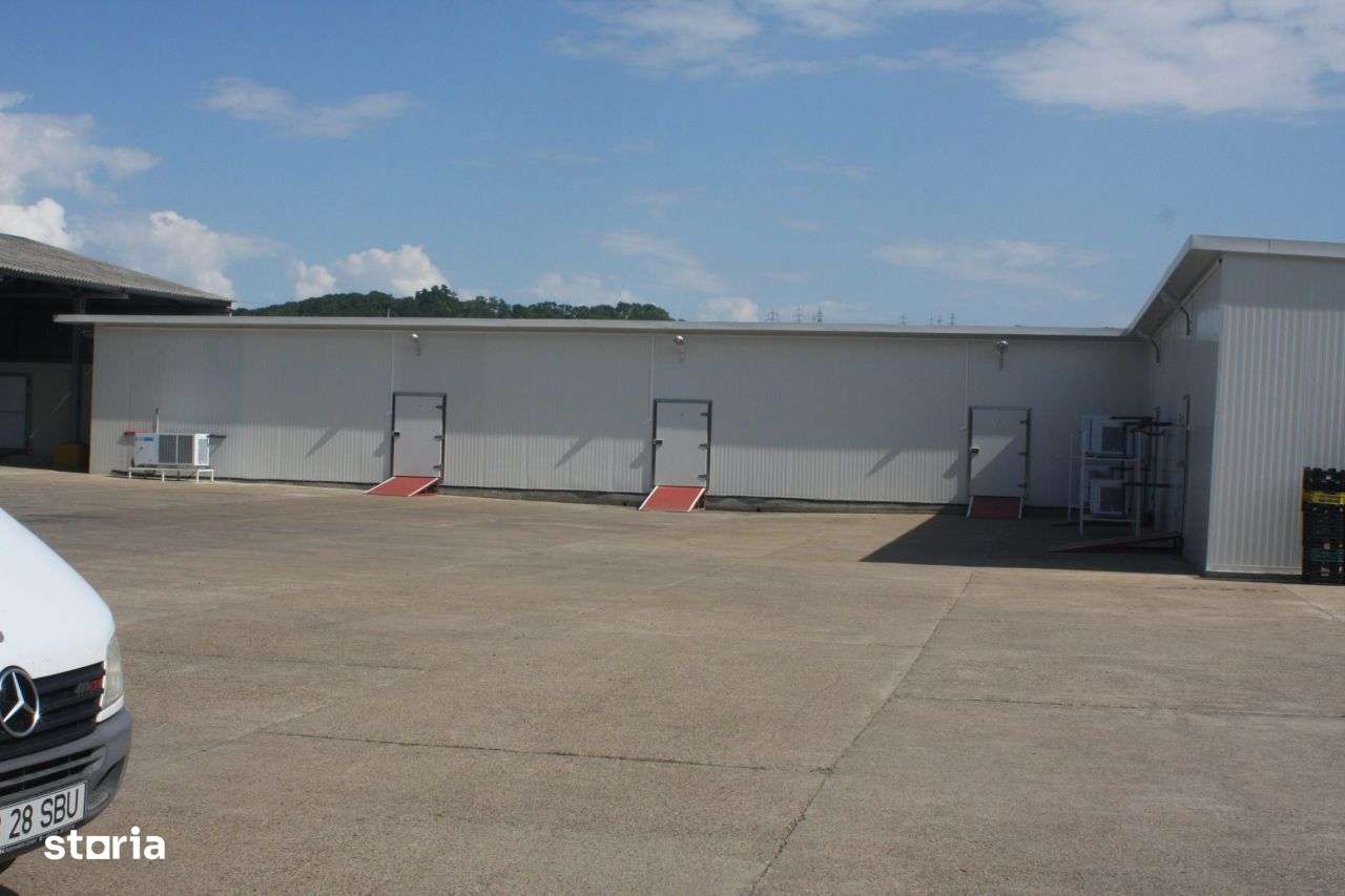 Depozite frigorifice congelate sau refrigertate - Imagine principală: 2/4