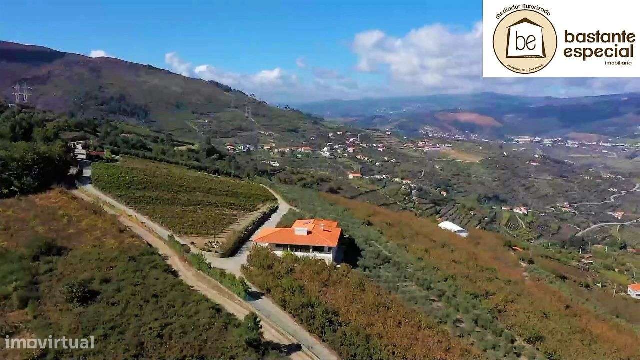 Quinta no Alto Douro Vinhateiro - Lamego com 7 ha (hectares)-22