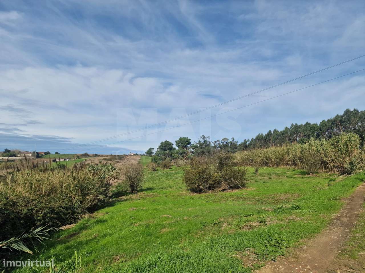 Terreno Rustico - Reinaldes - Grande imagem: 5/10