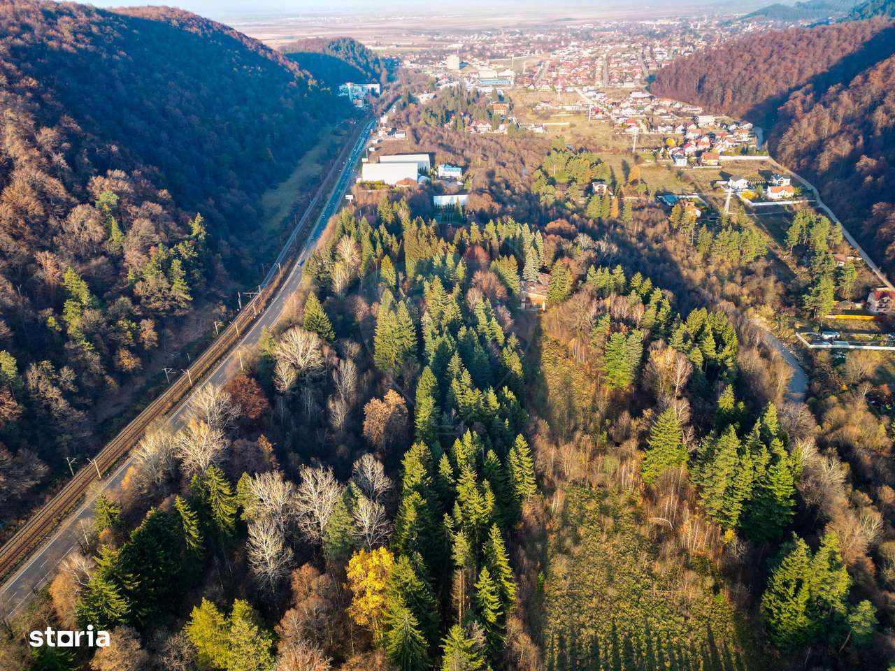 Teren constructii 10,000mp Timisul de Jos , PARCELABIL min 250 mp-6